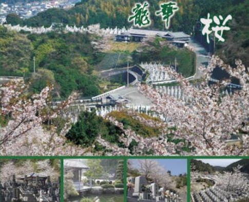 大野城 龍華霊園