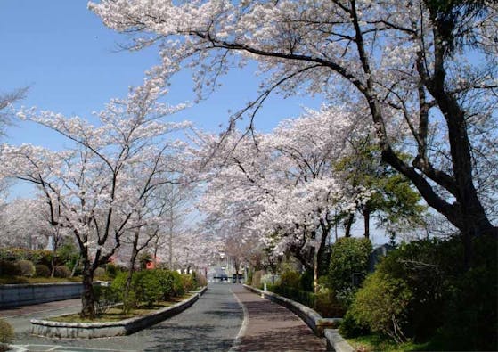 武蔵野霊園 一般墓・永代供養墓