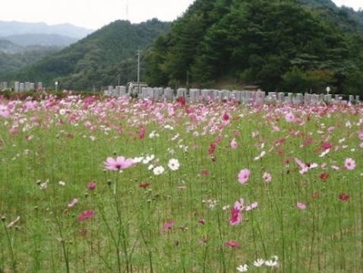 松山メモリアルパーク