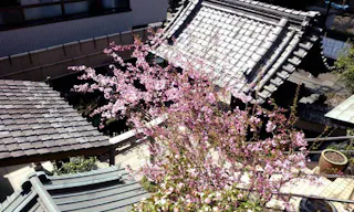 妙見寺