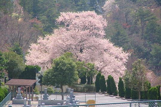五月山永楽霊苑