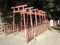 満願寺霊園 祥風苑 童話で有名な金太郎のモデルとなった坂田金時の墓があります。