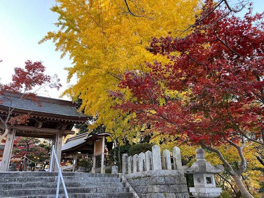 紅葉八幡宮　神道式納骨堂「祖霊殿緋乃宮」
