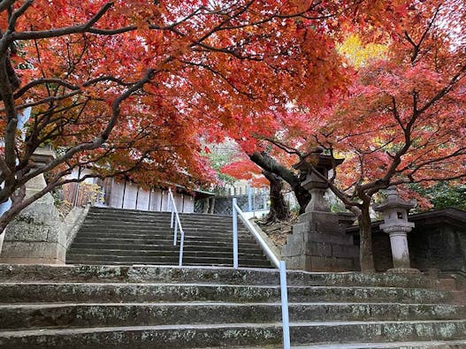 紅葉八幡宮 神道式納骨堂「祖霊殿緋乃宮」