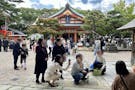 紅葉八幡宮　神道式納骨堂「祖霊殿緋乃宮」 七五三の様子