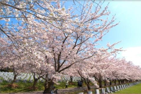 戸田記念墓地公園 北海道石狩市 の概要 価格 アクセス 北海道の霊園 Com