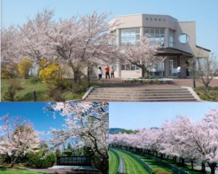 戸田記念墓地公園