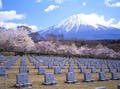 富士桜自然墓地公園
