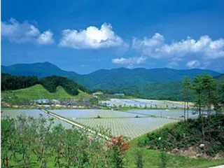 中国平和記念墓地公園