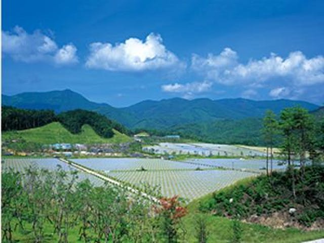 中国平和記念墓地公園
