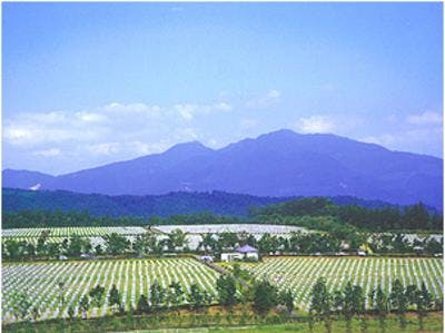 はるな平和墓苑