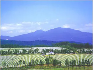 はるな平和墓苑
