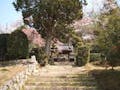 大舟寺霊園 三田市で唯一の天然記念物「カヤの木」があり、名所となっています。