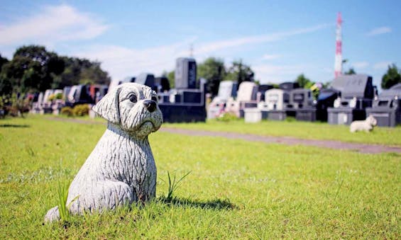 所沢シティメモリアル