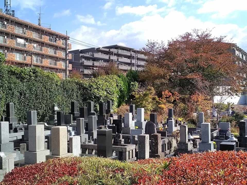 西園寺 4K] 日本庭園 西教寺 / 滋賀 Japanese Garden SAIKYO-JI / SHIGA