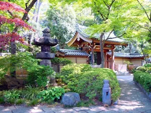 実相院(世田谷区)の霊園・墓地