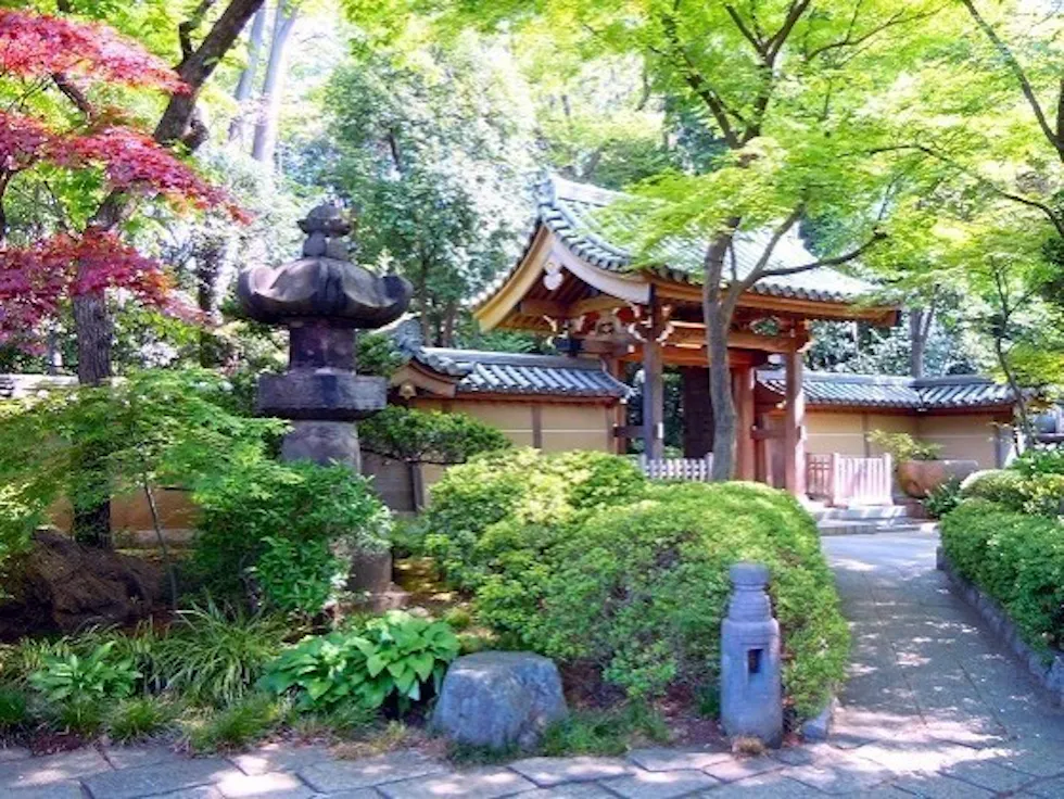 実相院(世田谷区)の霊園・墓地
