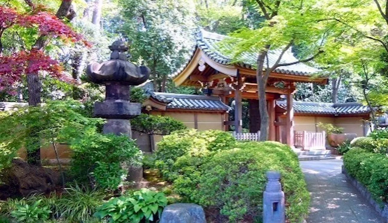 実相院(世田谷区)の霊園・墓地