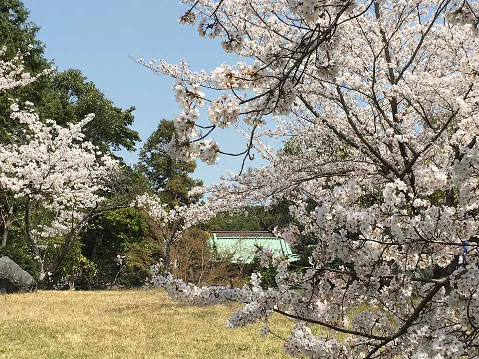 乾坤院墓苑 境内