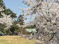 乾坤院墓苑 境内