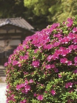 清源院の画像