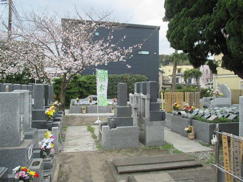 長安寺