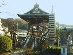 瑠璃光山 観蔵院の画像