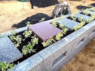 月の森霊園