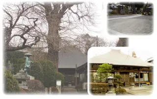 長王寺