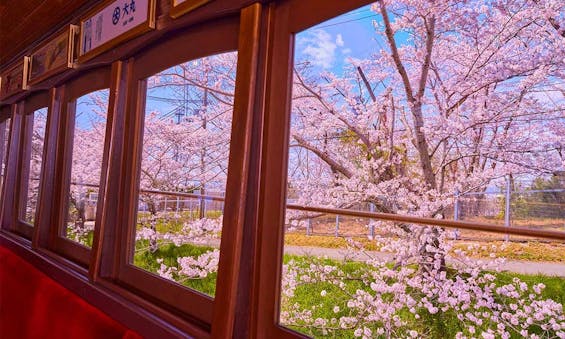 ハピネスパーク交野霊園