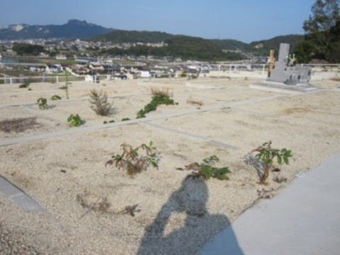 新田岡山墓地