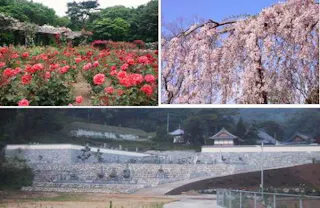 光林寺