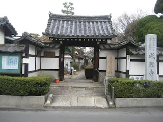 成願寺墓地