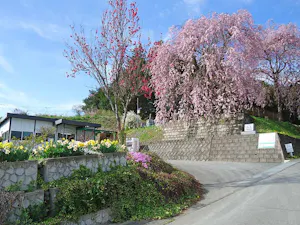 盛岡霊園(盛岡市)の霊園