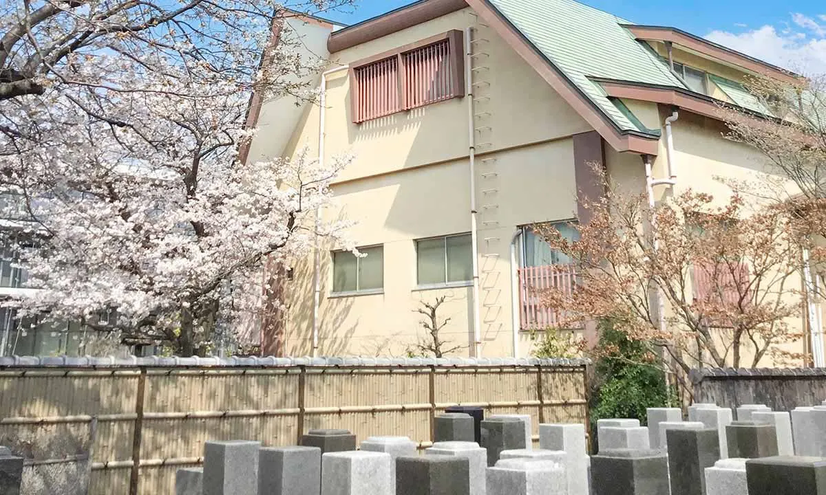 せたがや桜上水墓苑 春の墓域（桜）