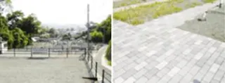 木之庄墓苑（円蔵院）