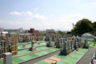 珊瑚寺墓地 高台の墓地で、見晴らしが抜群。和歌山城も見えます。