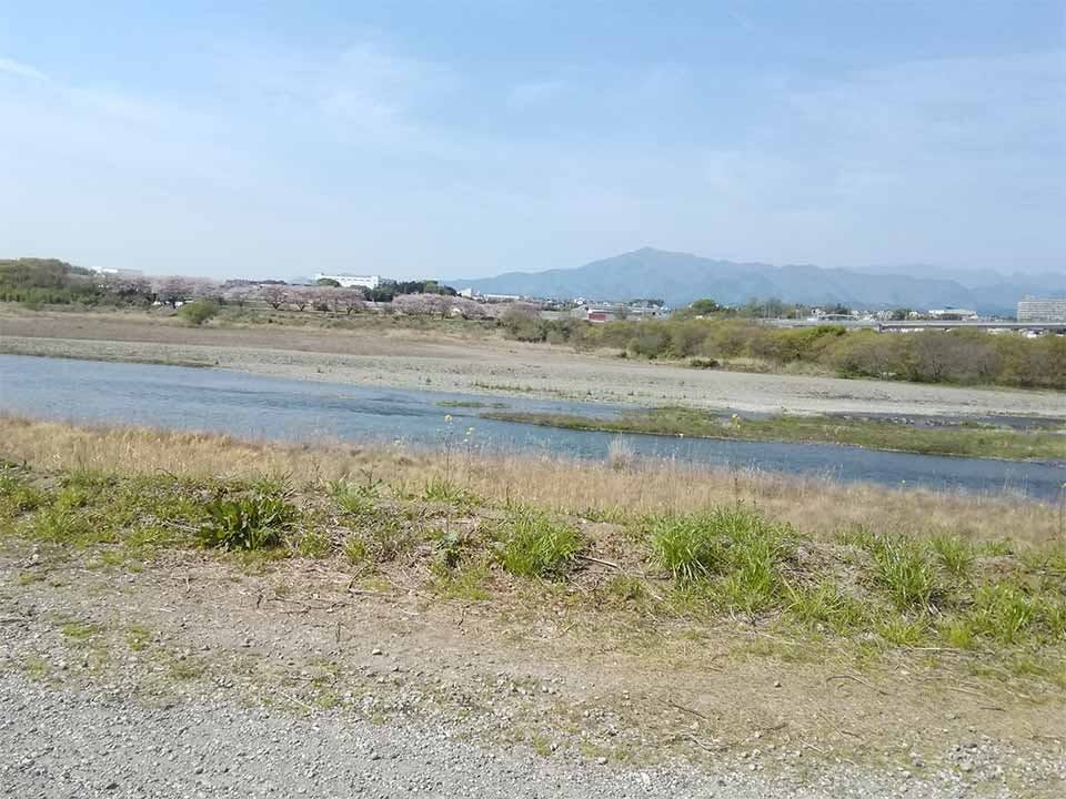 座間リバーサイドメモリアル