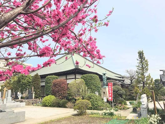 永代供養付樹木庭園墓『蓮華まんだら苑』