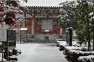 新座令和の杜