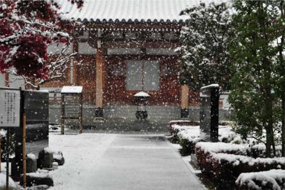 新座令和の杜