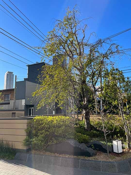 圓通寺(円通寺)