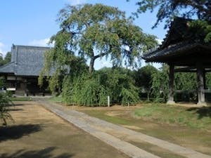 西林寺墓苑の画像