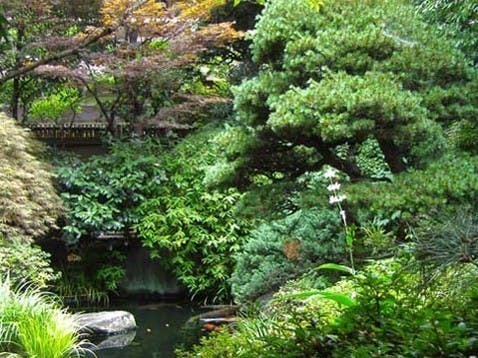 專光寺(専光寺)