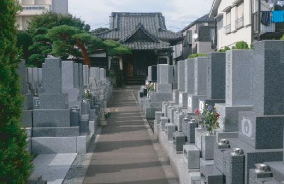 真龍寺(練馬区)の霊園・墓地アーカイブ【いいお墓】