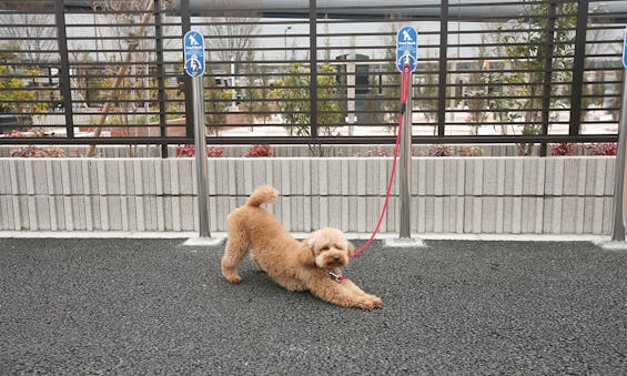 三郷中央聖地 第2期