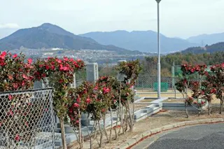高取南太陽霊園