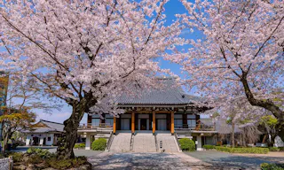 小石川 傳通院