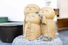 小石川 傳通院