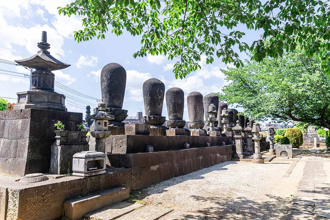 小石川 傳通院
